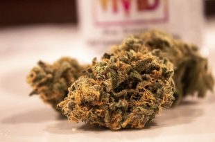 grossiste de fleur cbd